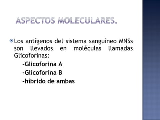 Los antígenos del sistema sanguíneo MNSs son llevados en moléculas llamadas Glicoforinas:  -Glicoforina A  -Glicoforina B  -híbrido de ambas 