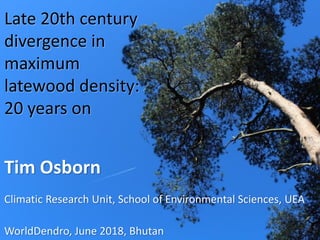 Late 20th century
divergence in
maximum
latewood density:
20 years on
Tim Osborn
Climatic Research Unit, School of Environmental Sciences, UEA
WorldDendro, June 2018, Bhutan
 