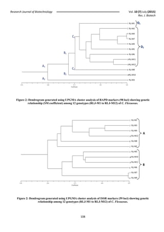 Research Journal of Biotechnology Vol. 10 (7) July (2015)
Res. J. Biotech
108
Figure 2: Dendrogram generated using UPGMA cluster analysis of RAPD markers (98 loci) showing genetic
relationship (SM coefficient) among 12 genotypes (RLJ-M1 to RLJ-M12) of C. Flexuosus.
Figure 2: Dendrogram generated using UPGMA cluster analysis of ISSR markers (59 loci) showing genetic
relationship among 12 genotypes (RLJ-M1 to RLJ-M12) of C. Flexuosus.
Coefficient
0.50 0.60 0.71 0.81 0.91
1
2
4
7
9
5
6
11
12
8
10
3
Figure 2: Dendrogram generated using UPGMA cluster analysis of RAPD markers (98
loci) showing genetic relationship (SM coefficient) among 12 genotypes (RLJ-M1 to
RLJ-M12) of C. flexuosus.
RLJ-M1
RLJ-M2
RLJ-M4
RLJ-M7
RLJ-M9
RLJ-M5
RLJ-M6
RLJ-M11
RLJ-M12
RLJ-M8
RLJ-M10
RLJ-M3A2
A1
B2
B1
C1
C2
D2
D1
Coefficient
0.50 0.62 0.73 0.85 0.97
1
3
4
12
8
2
5
10
11
6
7
9
Figure 3: Dendrogram generated using UPGMA cluster analysis of ISSR markers (59
loci) showing genetic relationship among 12 genotypes (RLJ-M1 to RLJ-M12) of C.
flexuosus.
B
A
RLJ-M1
RLJ-M3
RLJ-M4
RLJ-M12
RLJ-M8
RLJ-M2
RLJ-M5
RLJ-M10
RLJ-M11
RLJ-M6
RLJ-M7
RLJ-M9
 