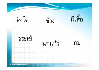 สงโต
สิงโต     ชาง
                 ผเสอ
                  ผีเสื้อ

จระเข             กบ
         นกแกว
         นกแกว
 