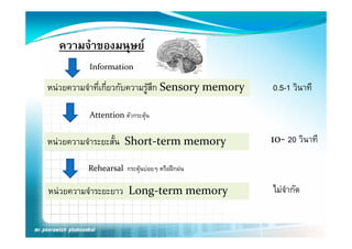 ความจํําของมนุษย
          Information

หนวยความจําที่เกียวกับความรูสึก Sensory memory
                  ่                                0.5-1 วินาที

          Attention ตัวกระตุน


หนวยความจําระยะสั้น Short‐term memory             10‐ 20 วินาที

         Rehearsal กระตุนบอยๆ หรือฝกฝน

หนวยความจําระยะยาว Long‐term memory               ไมจํากัด
 