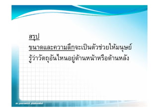 สรุป
ขนาดและความลึกจะเปนตัวชวยใหมนุษย
                                 ใ
รูวาวตถุอนไหนอยูดานหนาหรืือดานหลง
       ั ั ไ                            ั
 