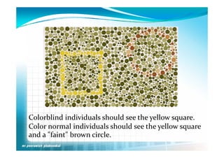 Colorblind individuals should see the yellow square. 
C l bli d i di id l   h ld    h   ll                 
Color normal individuals should see the yellow square 
and a "faint" brown circle.
  d   "f i t" b      i l
 