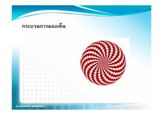 กระบวนการมองเห็น
 