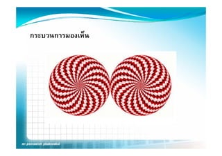 กระบวนการมองเห็น
 