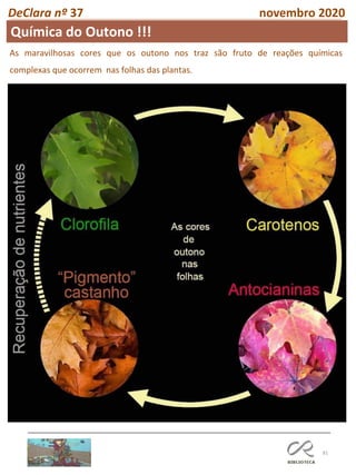 81
DeClara nº 37 novembro 2020
As maravilhosas cores que os outono nos traz são fruto de reações químicas
complexas que ocorrem nas folhas das plantas.
M Isabel Pinto
Prof de Química do 12 Ano
Química do Outono !!!
 
