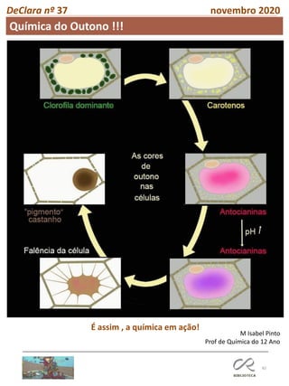 82
DeClara nº 37 novembro 2020
M Isabel Pinto
Prof de Química do 12 Ano
É assim , a química em ação!
Química do Outono !!!
 