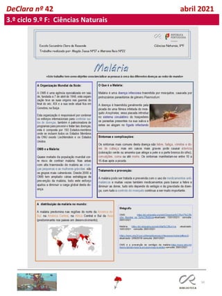 50
DeClara nº 42 abril 2021
3.º ciclo 9.º F: Ciências Naturais
 