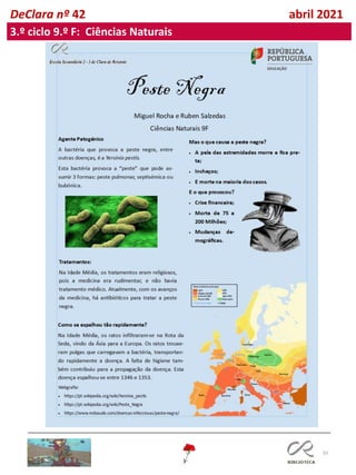 55
DeClara nº 42 abril 2021
3.º ciclo 9.º F: Ciências Naturais
 