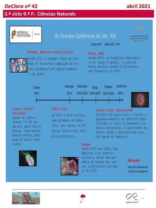 56
DeClara nº 42 abril 2021
3.º ciclo 9.º F: Ciências Naturais
 