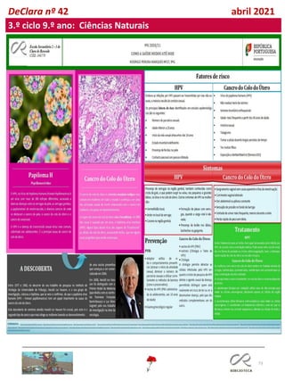 73
DeClara nº 42 abril 2021
3.º ciclo 9.º ano: Ciências Naturais
 