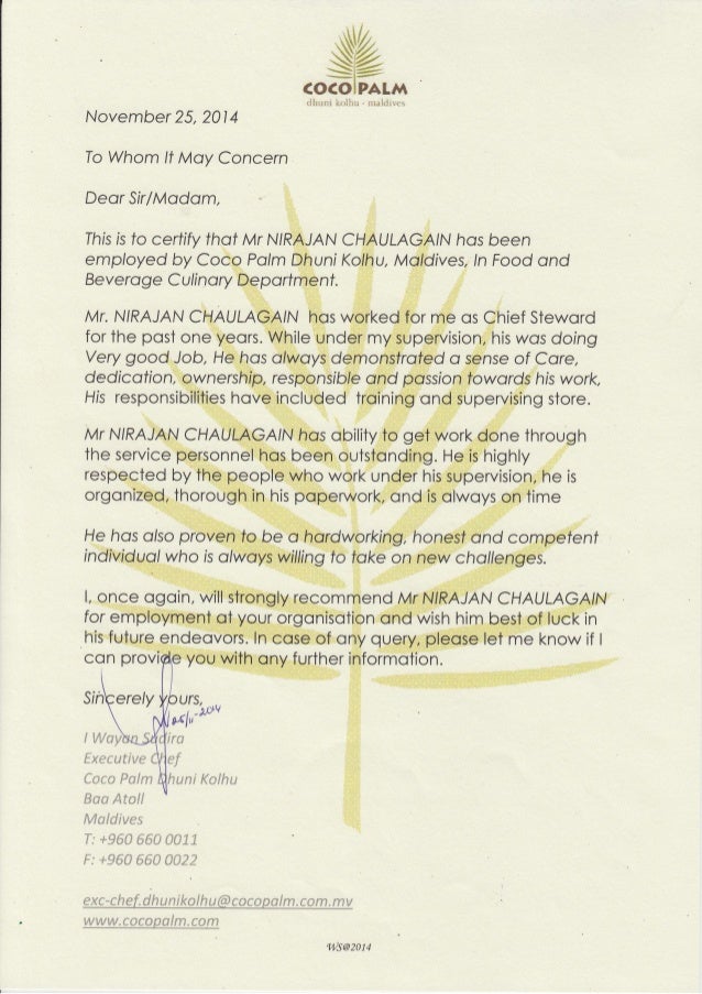 Ceo Reference Letter