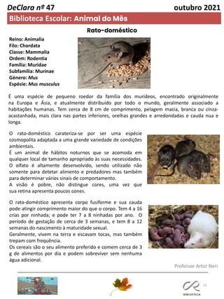 23
DeClara nº 47 outubro 2021
Biblioteca Escolar: Animal do Mês
Rato-doméstico
O rato-doméstico apresenta corpo fusiforme e sua cauda
pode atingir comprimento maior do que o corpo. Tem 4 a 16
crias por ninhada; e pode ter 7 a 8 ninhadas por ano. O
período de gestação de cerca de 3 semanas, e tem 8 a 12
semanas do nascimento à maturidade sexual.
Geralmente, vivem na terra e escavam tocas, mas também
trepam com frequência.
Os cereais são o seu alimento preferido e comem cerca de 3
g de alimentos por dia e podem sobreviver sem nenhuma
água adicional.
É uma espécie de pequeno roedor da família dos murídeos, encontrado originalmente
na Europa e Ásia, e atualmente distribuído por todo o mundo, geralmente associado a
habitações humanas. Tem cerca de 8 cm de comprimento, pelagem macia, branca ou cinza-
acastanhada, mais clara nas partes inferiores, orelhas grandes e arredondadas e cauda nua e
longa.
O rato-doméstico carateriza-se por ser uma espécie
cosmopolita adaptada a uma grande variedade de condições
ambientais.
É um animal de hábitos noturnos que se acomoda em
qualquer local de tamanho apropriado às suas necessidades.
O olfato é altamente desenvolvido, sendo utilizado não
somente para detetar alimento e predadores mas também
para determinar vários sinais de comportamento.
A visão é pobre, não distingue cores, uma vez que
sua retina apresenta poucos cones.
Reino: Animalia
Filo: Chordata
Classe: Mammalia
Ordem: Rodentia
Família: Muridae
Subfamília: Murinae
Género: Mus
Espécie: Mus musculus
Professor Artur Neri
 