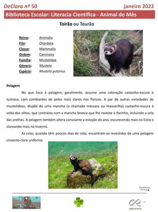 Animalia
Chordata
Mammalia
Carnivora
Mustelidae
Mustela
Mustela putorius
39
DeClara nº 50 janeiro 2022
Biblioteca Escolar: Literacia Científica - Animal do Mês
Toirão ou Tourão
Pelagem
No que toca à pelagem, geralmente, assume uma coloração castanho-escura e
lustrosa, com cambiantes de pelos mais claros nos flancos. A par de outras variedades de
mustelídeos, dispõe de uma mancha (a chamada máscara ou mascarilha) castanho-escura à
volta dos olhos, que contrasta com a mancha branca que lhe reveste o focinho, incluindo a orla
das orelhas. A pelagem também altera consoante a estação do ano, escurecendo mais no Estio e
clareando mais no Inverno.
As crias, quando têm poucos dias de vida, encontram-se revestidas de uma pelagem
cinzento-clara uniforme
Reino:
Filo:
Classe:
Ordem:
Família:
Género:
Espécie:
 