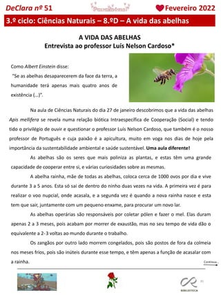 95
DeClara nº 51 Fevereiro 2022
3.º ciclo: Ciências Naturais – 8.ºD – A vida das abelhas
A VIDA DAS ABELHAS
Entrevista ao professor Luís Nelson Cardoso*
Como Albert Einstein disse:
“Se as abelhas desaparecerem da face da terra, a
humanidade terá apenas mais quatro anos de
existência (…)”.
Na aula de Ciências Naturais do dia 27 de janeiro descobrimos que a vida das abelhas
Apis mellifera se revela numa relação biótica Intraespecífica de Cooperação (Social) e tendo
tido o privilégio de ouvir e questionar o professor Luís Nelson Cardoso, que também é o nosso
professor de Português e cuja paixão é a apicultura, muito em voga nos dias de hoje pela
importância da sustentabilidade ambiental e saúde sustentável. Uma aula diferente!
As abelhas são os seres que mais poliniza as plantas, e estas têm uma grande
capacidade de cooperar entre si, e várias curiosidades sobre as mesmas.
A abelha rainha, mãe de todas as abelhas, coloca cerca de 1000 ovos por dia e vive
durante 3 a 5 anos. Esta só sai de dentro do ninho duas vezes na vida. A primeira vez é para
realizar o voo nupcial, onde acasala, e a segunda vez é quando a nova rainha nasce e esta
tem que sair, juntamente com um pequeno enxame, para procurar um novo lar.
As abelhas operárias são responsáveis por coletar pólen e fazer o mel. Elas duram
apenas 2 a 3 meses, pois acabam por morrer de exaustão, mas no seu tempo de vida dão o
equivalente a 2-3 voltas ao mundo durante o trabalho.
Os zangãos por outro lado morrem congelados, pois são postos de fora da colmeia
nos meses frios, pois são inúteis durante esse tempo, e têm apenas a função de acasalar com
a rainha.
 