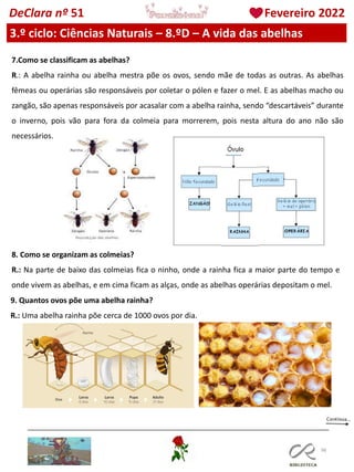 98
DeClara nº 51 Fevereiro 2022
3.º ciclo: Ciências Naturais – 8.ºD – A vida das abelhas
7.Como se classificam as abelhas?
R.: A abelha rainha ou abelha mestra põe os ovos, sendo mãe de todas as outras. As abelhas
fêmeas ou operárias são responsáveis por coletar o pólen e fazer o mel. E as abelhas macho ou
zangão, são apenas responsáveis por acasalar com a abelha rainha, sendo “descartáveis” durante
o inverno, pois vão para fora da colmeia para morrerem, pois nesta altura do ano não são
necessários.
8. Como se organizam as colmeias?
R.: Na parte de baixo das colmeias fica o ninho, onde a rainha fica a maior parte do tempo e
onde vivem as abelhas, e em cima ficam as alças, onde as abelhas operárias depositam o mel.
9. Quantos ovos põe uma abelha rainha?
R.: Uma abelha rainha põe cerca de 1000 ovos por dia.
 