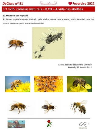 99
DeClara nº 51 Fevereiro 2022
3.º ciclo: Ciências Naturais – 8.ºD – A vida das abelhas
10. O que é o voo nupcial?
R.: O voo nupcial é o voo realizado pela abelha rainha para acasalar, sendo também uma das
poucas vezes em que a mesma sai do ninho.
Escola Básica e Secundária Clara de
Resende, 27 Janeiro 2022
 