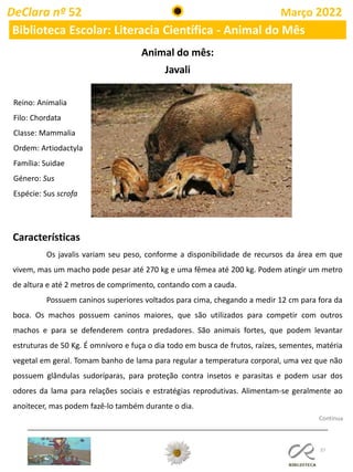 37
DeClara nº 52 Março 2022
Biblioteca Escolar: Literacia Científica - Animal do Mês
Continua
Animal do mês:
Javali
Características
Os javalis variam seu peso, conforme a disponibilidade de recursos da área em que
vivem, mas um macho pode pesar até 270 kg e uma fêmea até 200 kg. Podem atingir um metro
de altura e até 2 metros de comprimento, contando com a cauda.
Possuem caninos superiores voltados para cima, chegando a medir 12 cm para fora da
boca. Os machos possuem caninos maiores, que são utilizados para competir com outros
machos e para se defenderem contra predadores. São animais fortes, que podem levantar
estruturas de 50 Kg. É omnívoro e fuça o dia todo em busca de frutos, raízes, sementes, matéria
vegetal em geral. Tomam banho de lama para regular a temperatura corporal, uma vez que não
possuem glândulas sudoríparas, para proteção contra insetos e parasitas e podem usar dos
odores da lama para relações sociais e estratégias reprodutivas. Alimentam-se geralmente ao
anoitecer, mas podem fazê-lo também durante o dia.
Reino: Animalia
Filo: Chordata
Classe: Mammalia
Ordem: Artiodactyla
Família: Suidae
Género: Sus
Espécie: Sus scrofa
 