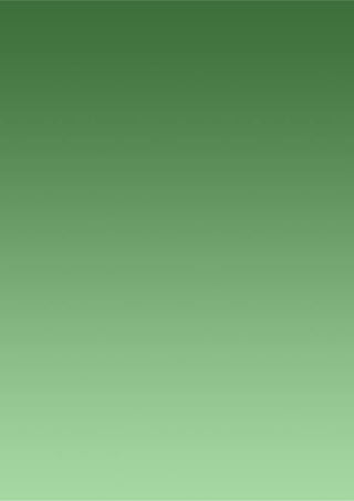 Missões de Merchandising - Wewi