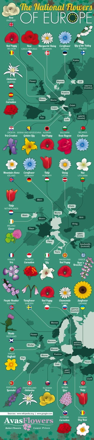National Flowers of European Countries