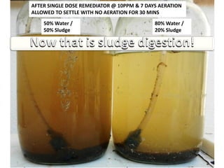 Sludge Digestion demo | PPT