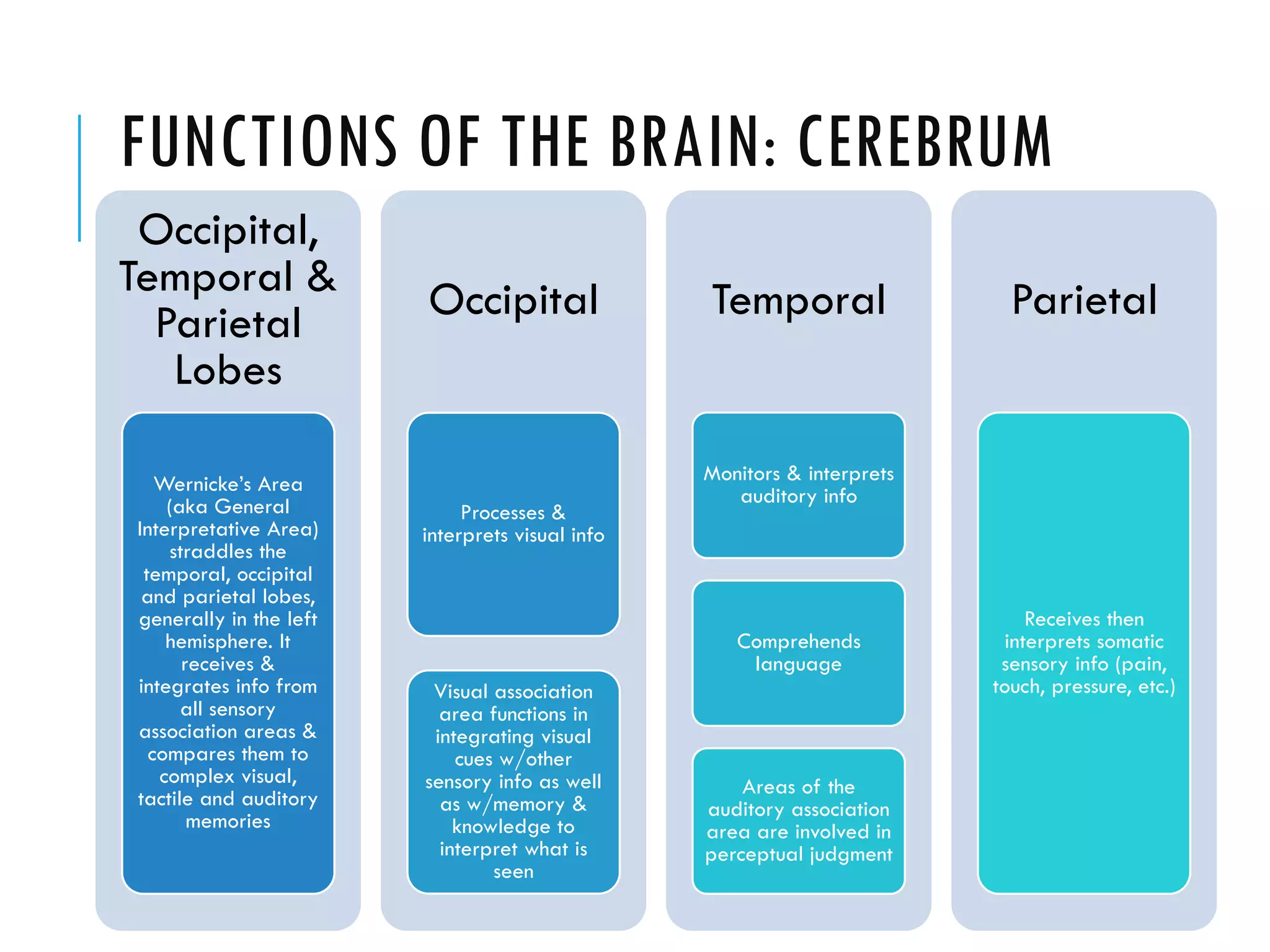 FUNCTIONS OF THE BRAIN: CEREBRUM
Occipital,
Temporal &
Parietal
Lobes
Wernicke’s Area
(aka General
Interpretative Area)
straddles the
temporal, occipital
and parietal lobes,
generally in the left
hemisphere. It
receives &
integrates info from
all sensory
association areas &
compares them to
complex visual,
tactile and auditory
memories
Occipital
Processes &
interprets visual info
Visual association
area functions in
integrating visual
cues w/other
sensory info as well
as w/memory &
knowledge to
interpret what is
seen
Temporal
Monitors & interprets
auditory info
Comprehends
language
Areas of the
auditory association
area are involved in
perceptual judgment
Parietal
Receives then
interprets somatic
sensory info (pain,
touch, pressure, etc.)
 