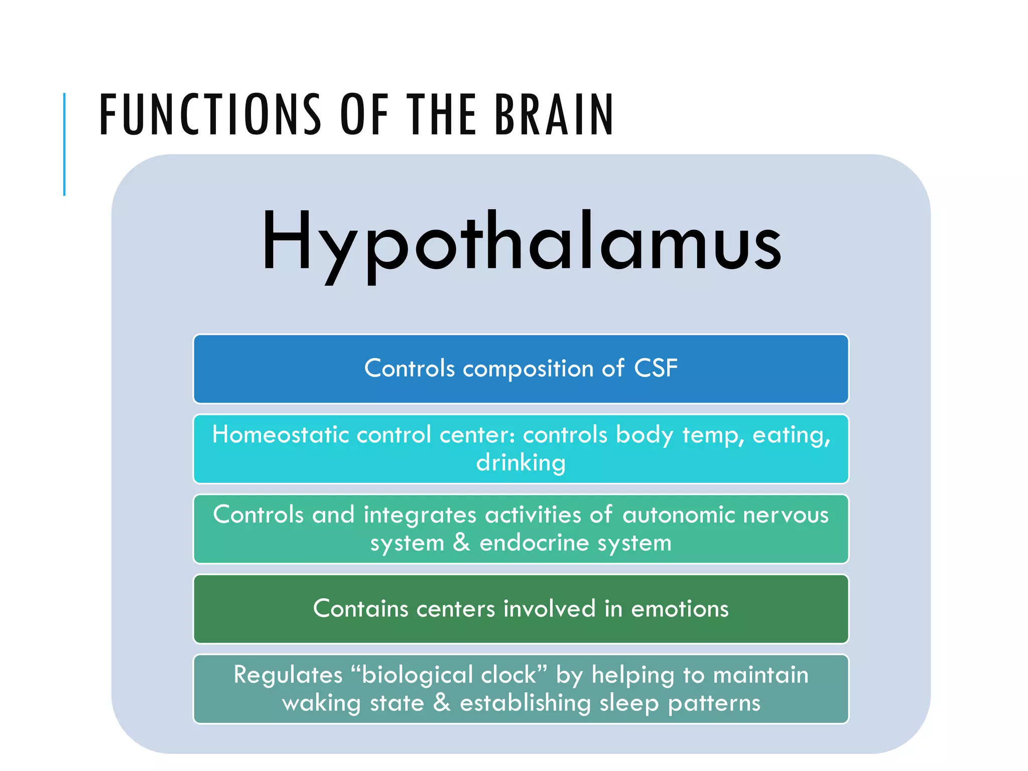 FUNCTIONS OF THE BRAIN
Hypothalamus
Controls composition of CSF
Homeostatic control center: controls body temp, eating,
drinking
Controls and integrates activities of autonomic nervous
system & endocrine system
Contains centers involved in emotions
Regulates “biological clock” by helping to maintain
waking state & establishing sleep patterns
 