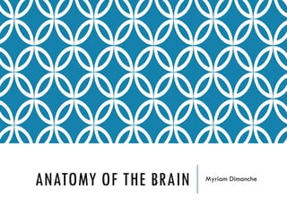 ANATOMY OF THE BRAIN Myriam Dimanche
 