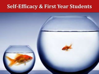 Self-Efficacy & First Year Students
 