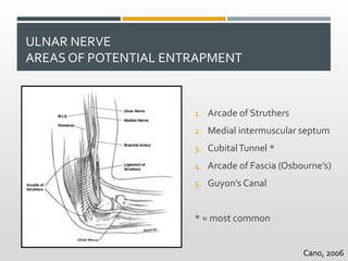 ULNAR NERVE
AREAS OF POTENTIAL ENTRAPMENT
1. Arcade of Struthers
2. Medial intermuscular septum
3. CubitalTunnel *
4. Arcade of Fascia (Osbourne’s)
5. Guyon’s Canal
* = most common
Cano, 2006
 