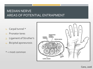 MEDIAN NERVE
AREAS OF POTENTIAL ENTRAPMENT
1. Carpal tunnel *
2. Pronator teres
3. Ligament of Struther’s
4. Bicipital aponeurosis
* = most common
Cano, 2006
 