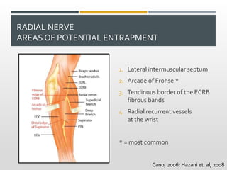 RADIAL NERVE
AREAS OF POTENTIAL ENTRAPMENT
1. Lateral intermuscular septum
2. Arcade of Frohse *
3. Tendinous border of the ECRB
fibrous bands
4. Radial recurrent vessels
at the wrist
* = most common
Cano, 2006; Hazani et. al, 2008
 