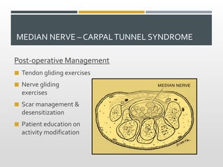 MEDIAN NERVE – CARPALTUNNEL SYNDROME
Post-operative Management
 Tendon gliding exercises
 Nerve gliding
exercises
 Scar management &
desensitization
 Patient education on
activity modification
 