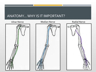 ANATOMY… WHY IS IT IMPORTANT?
Ulnar Nerve Median Nerve Radial Nerve
 