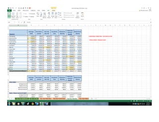 Excel Project SnapShots