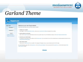 Theme Developer Module`