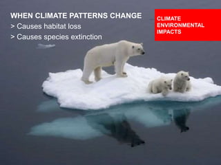 DESIGNING CLIMATE ACTION | WEEK 2: SEPTEMBER 17, 2015 48
WHEN CLIMATE PATTERNS CHANGE
> Causes habitat loss
> Causes species extinction
CLIMATE
ENVIRONMENTAL
IMPACTS
 