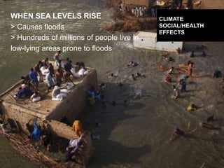 DESIGNING CLIMATE ACTION | WEEK 2: SEPTEMBER 17, 2015 49
WHEN SEA LEVELS RISE
> Causes floods
> Hundreds of millions of people live in
low-lying areas prone to floods
CLIMATE
SOCIAL/HEALTH
EFFECTS
 