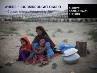DESIGNING CLIMATE ACTION | WEEK 2: SEPTEMBER 17, 2015 50
WHERE FLOODS/DROUGHT OCCUR
> Causes climate refugees to flee
CLIMATE
SOCIAL/HEALTH
EFFECTS
 