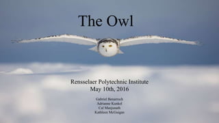 The Owl
Rensselaer Polytechnic Institute
May 10th, 2016
Gabriel Benarroch
Adrianne Kunkel
Cal Manjunath
Kathleen McGuigan
 
