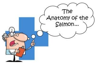 The
Anatomy of the
Salmon...
 