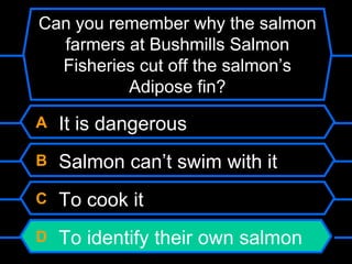 A It is dangerous
B Salmon can’t swim with it
C To cook it
D To identify their own salmon
Can you remember why the salmon
farmers at Bushmills Salmon
Fisheries cut off the salmon’s
Adipose fin?
 