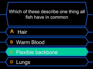 A Hair
B Warm Blood
C Flexible backbone
D Lungs
Which of these describe one thing all
fish have in common
 