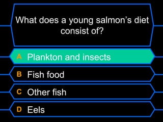 A Plankton and insects
B Fish food
C Other fish
D Eels
What does a young salmon’s diet
consist of?
 