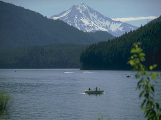 FOR MORE INFO...
List location or contact for competitive analysis (or other
related documents) here
 