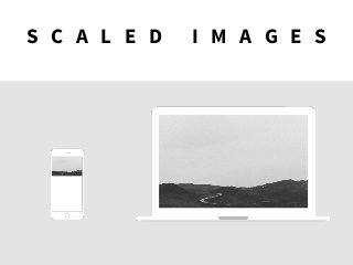 S C A L E D I M A G E S
 