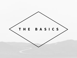 T H E B A S I C S
 