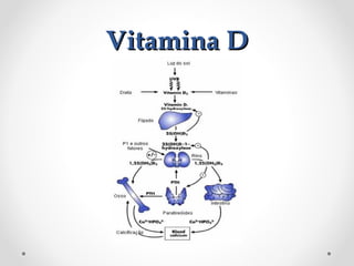 Vitamina D

 