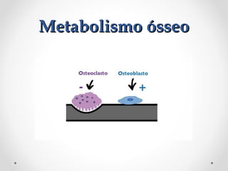 Metabolismo ósseo

 