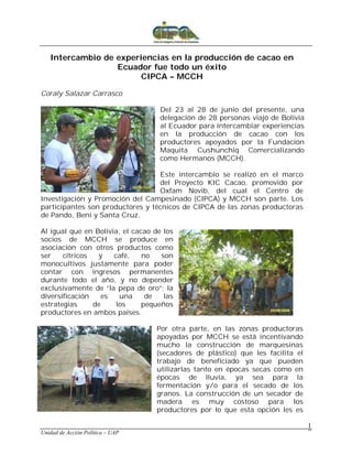 Intercambio de experiencias en la producción de cacao en
                  Ecuador fue todo un éxito
                        CIPCA – MCCH

Coraly Salazar Carrasco

                                    Del 23 al 28 de junio del presente, una
                                    delegación de 28 personas viajó de Bolivia
                                    al Ecuador para intercambiar experiencias
                                    en la producción de cacao con los
                                    productores apoyados por la Fundación
                                    Maquita Cushunchiq Comercializando
                                    como Hermanos (MCCH).

                                  Este intercambio se realizó en el marco
                                  del Proyecto KIC Cacao, promovido por
                                  Oxfam Novib, del cual el Centro de
Investigación y Promoción del Campesinado (CIPCA) y MCCH son parte. Los
participantes son productores y técnicos de CIPCA de las zonas productoras
de Pando, Beni y Santa Cruz.

Al igual que en Bolivia, el cacao de los
socios de MCCH se produce en
asociación con otros productos como
ser    cítricos  y    café,    no   son
monocultivos justamente para poder
contar con ingresos permanentes
durante todo el año, y no depender
exclusivamente de “la pepa de oro”; la
diversificación   es    una     de   las
estrategias     de     los     pequeños
productores en ambos países.

                                   Por otra parte, en las zonas productoras
                                   apoyadas por MCCH se está incentivando
                                   mucho la construcción de marquesinas
                                   (secadores de plástico) que les facilita el
                                   trabajo de beneficiado ya que pueden
                                   utilizarlas tanto en épocas secas como en
                                   épocas de lluvia, ya sea para la
                                   fermentación y/o para el secado de los
                                   granos. La construcción de un secador de
                                   madera es muy costoso para los
                                   productores por lo que esta opción les es

                                                                                 1
Unidad de Acción Política – UAP
 